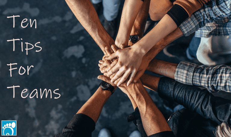 Ten Tips for Teams