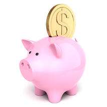 The Effects of Internet Contributions on Non-profit Organizations