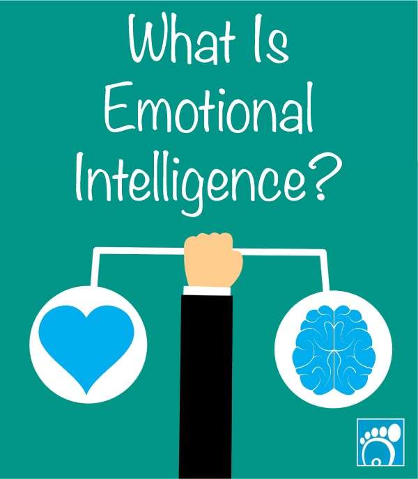What is Emotional Intelligence?
