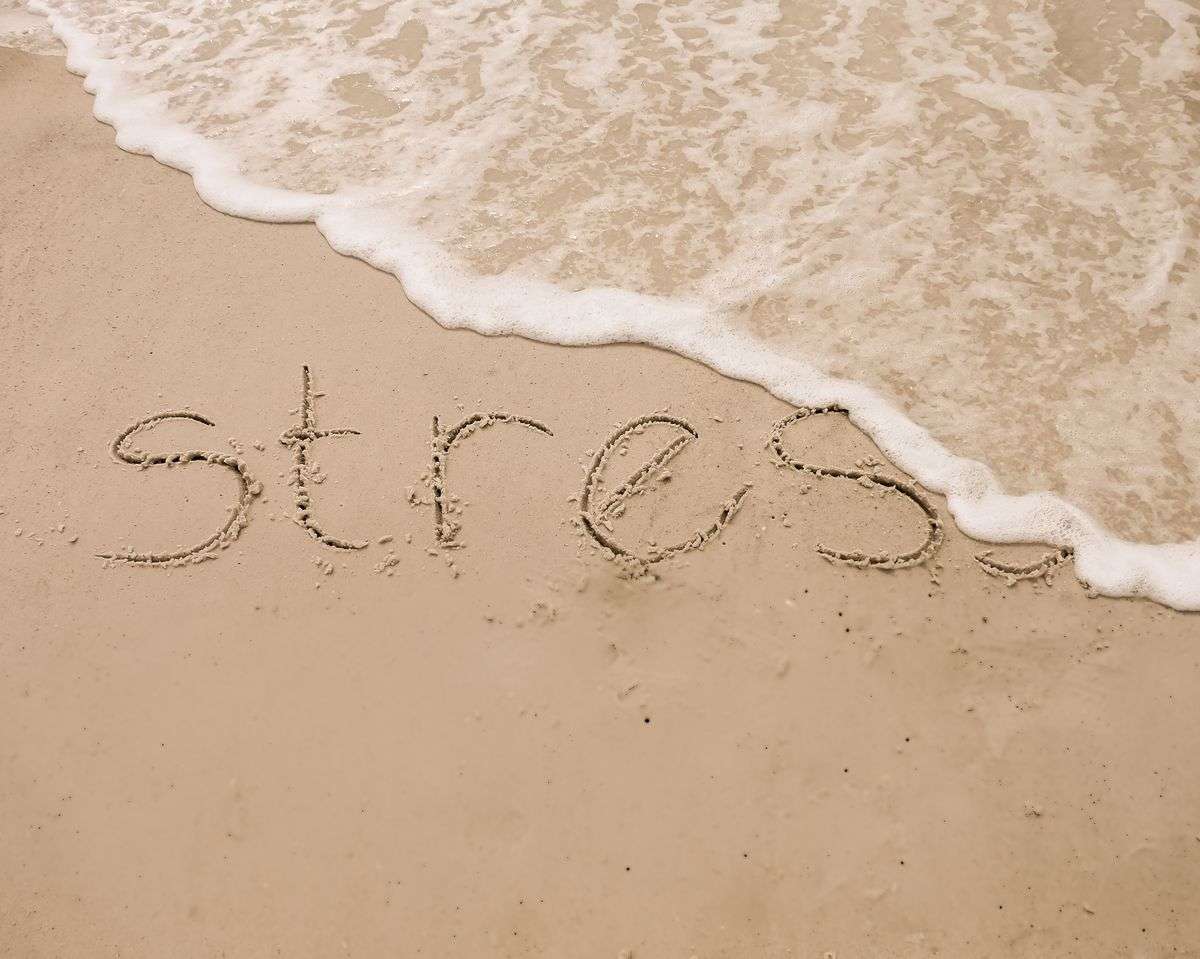 Good Stress vs Bad Stress