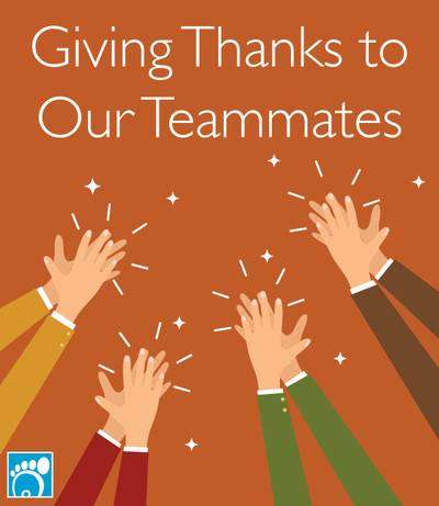 Giving Thanks to Our Teammates