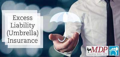 Excess Liability (Umbrella) Insurance