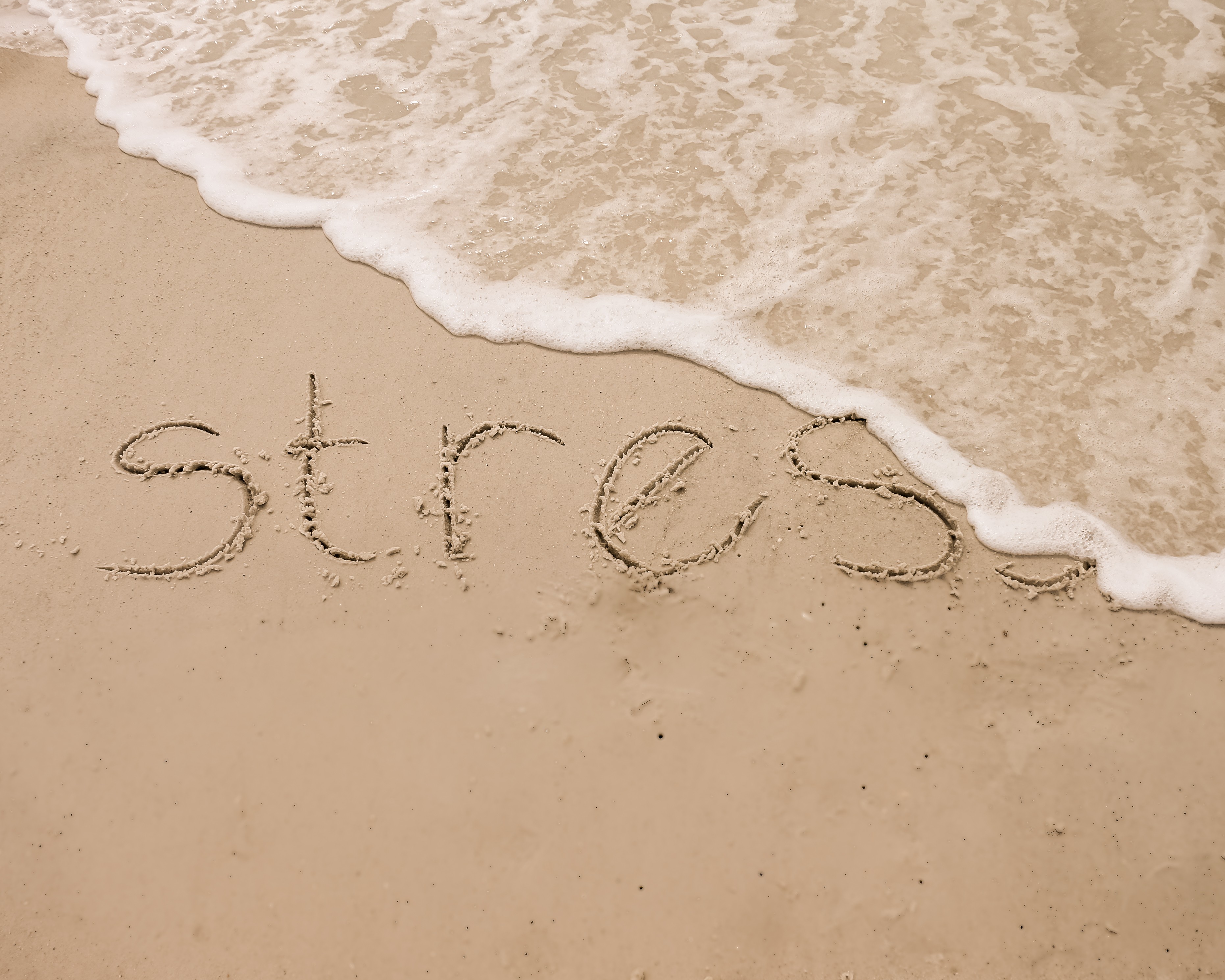 Good Stress vs Bad Stress