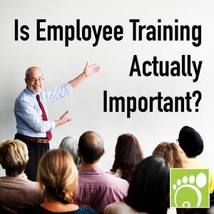 Is Employee Training Actually Important?
