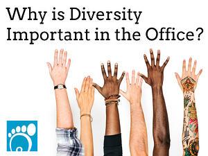 Why is Diversity Important in the Office?
