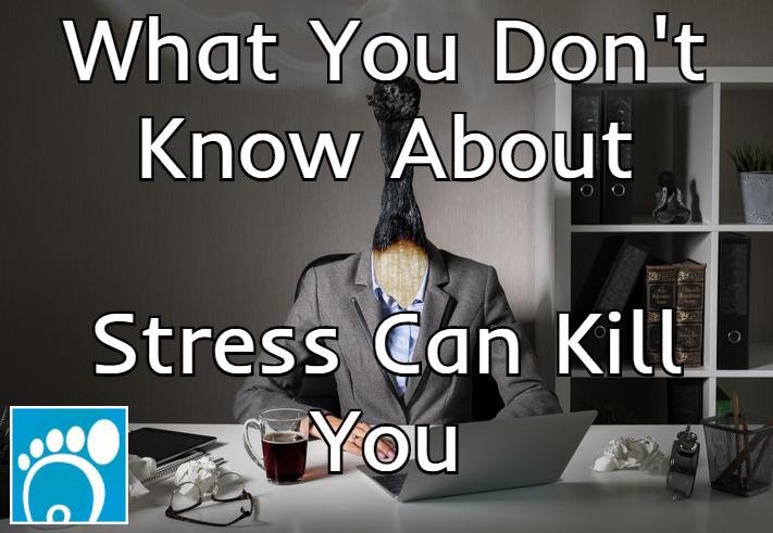 What You Don’t Know About Stress Can Kill You