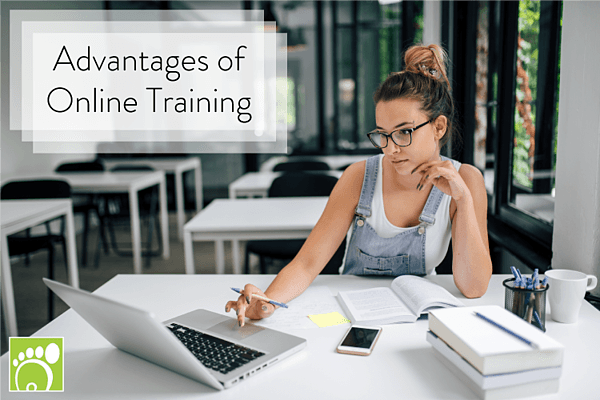 Advantages of Online Training