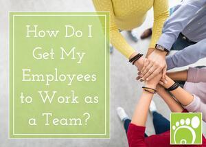 How do I Get My Employees to Work as a Team?