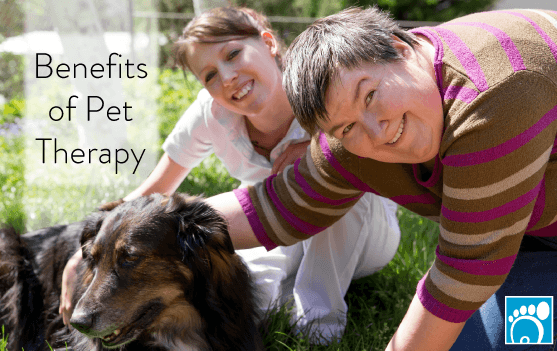 Benefits of Pet Therapy