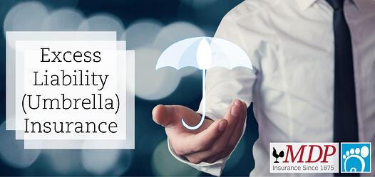 Excess Liability (Umbrella) Insurance