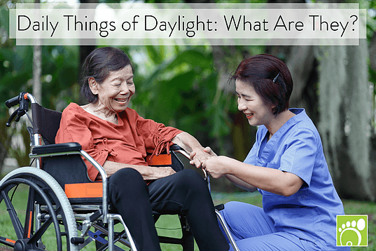 Daily Things of Daylight: What Are They?