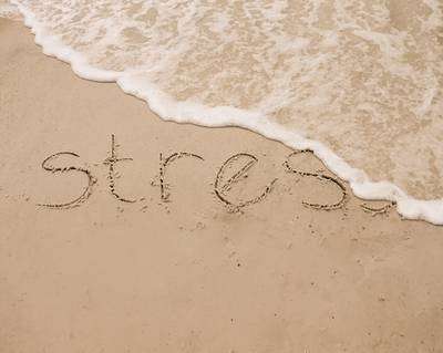 Good Stress vs Bad Stress